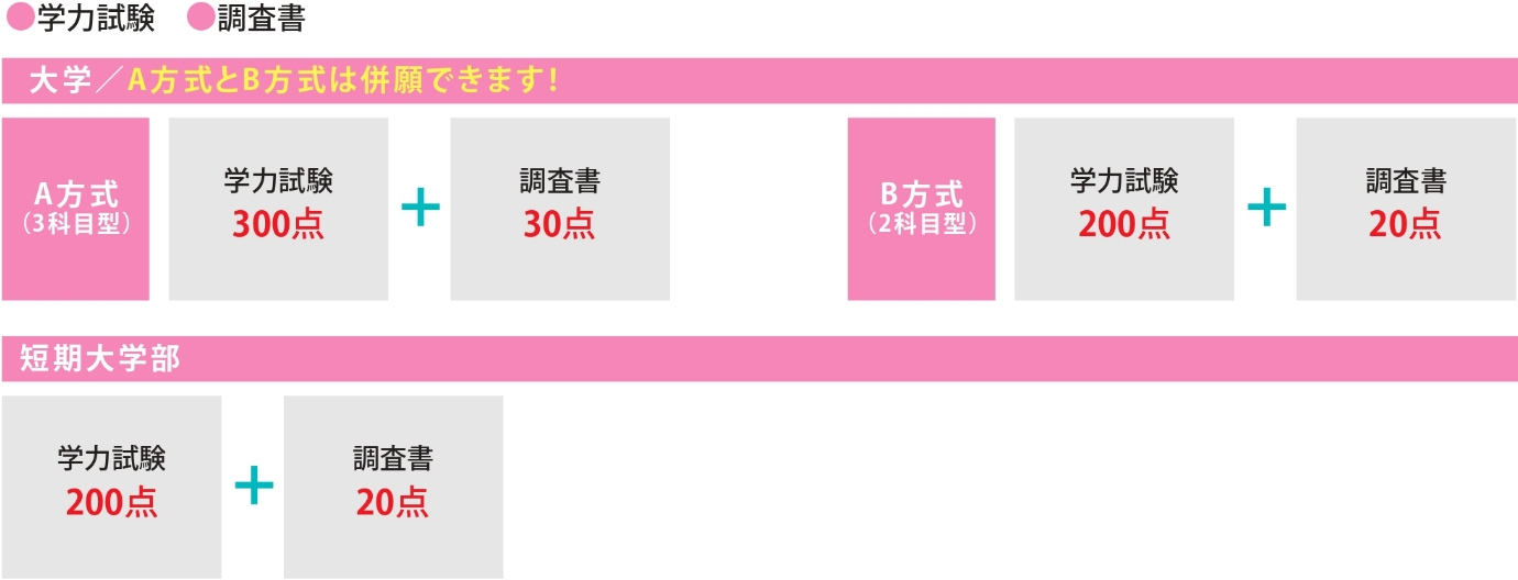 プレゼン型(一期・二期のみ)