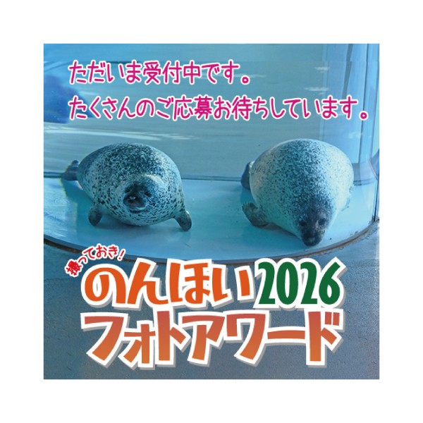 撮っておき！のんほいフォトアワード2026』を企画・運営します（三輪・山口プロジェクト）