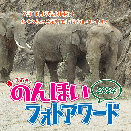 『撮っておき！のんほいフォトアワード2024』を企画・運営します（三輪・山口プロジェクト）