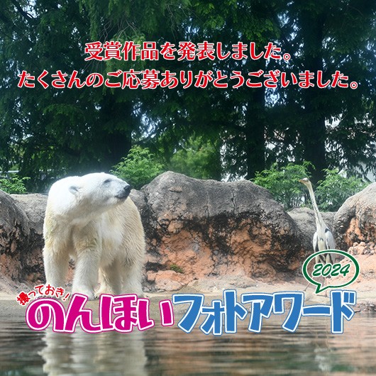 のんほいパーク盛り上げ隊！主催「フォトアワード2024」受賞作品発表！（三輪・山口プロジェクト）