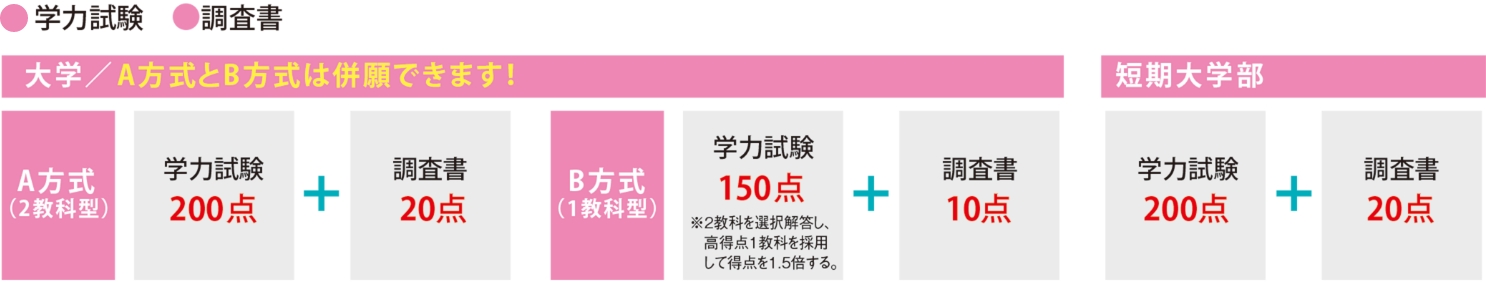プレゼン型(一期・二期のみ)