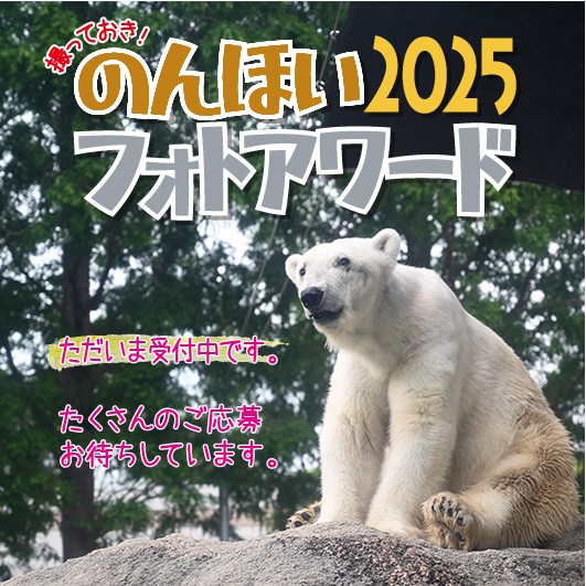 『撮っておき！のんほいフォトアワード2025』を企画・運営します（三輪・山口プロジェクト）