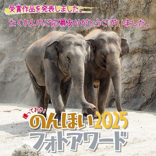 のんほいパーク盛り上げ隊！主催「フォトアワード2025」受賞作品発表！（三輪・山口プロジェクト）